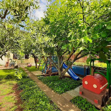 Apartments Mirella Novigrad  Ngoại thất bức ảnh