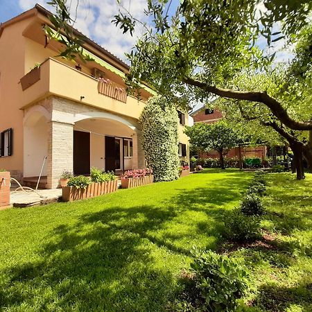 Apartments Mirella Novigrad  Ngoại thất bức ảnh