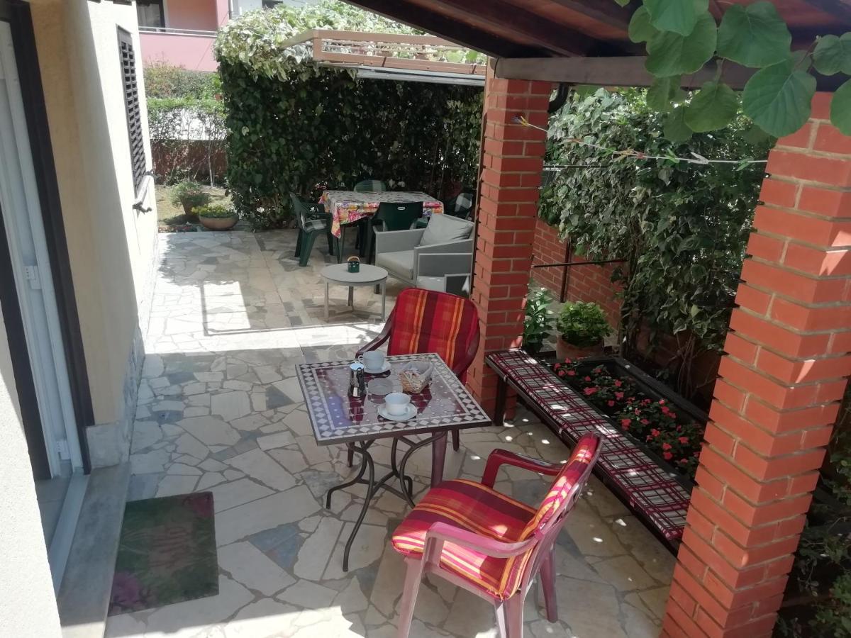Apartments Mirella Novigrad  Ngoại thất bức ảnh